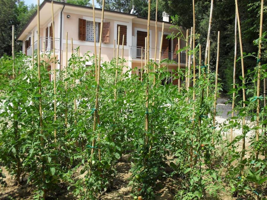 Apartment In Nature,10Min From City Перуджа Экстерьер фото
